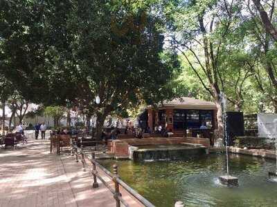 Divina Parrilla, S.l.