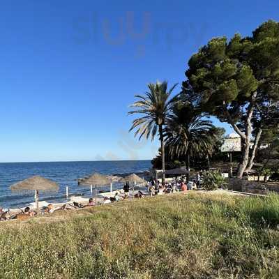 Algas L´andrago - Photo 8