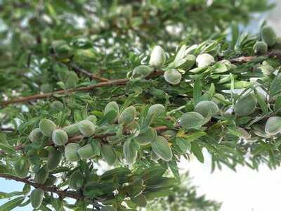 Hostal Restaurante Los Puentes