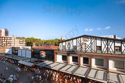 Bierkonie Arenal Sl.