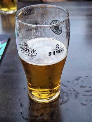 Beers Friends Benidorm