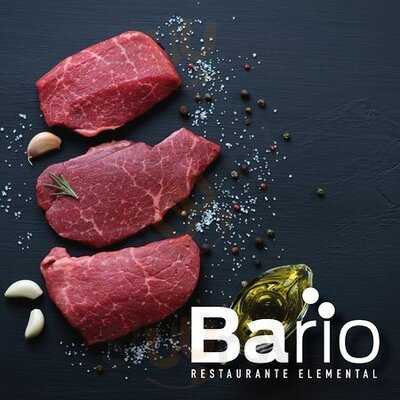 Bario Restaurante Elemental