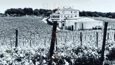 Vinos Chinchilla/ Bodega Dona Felisa