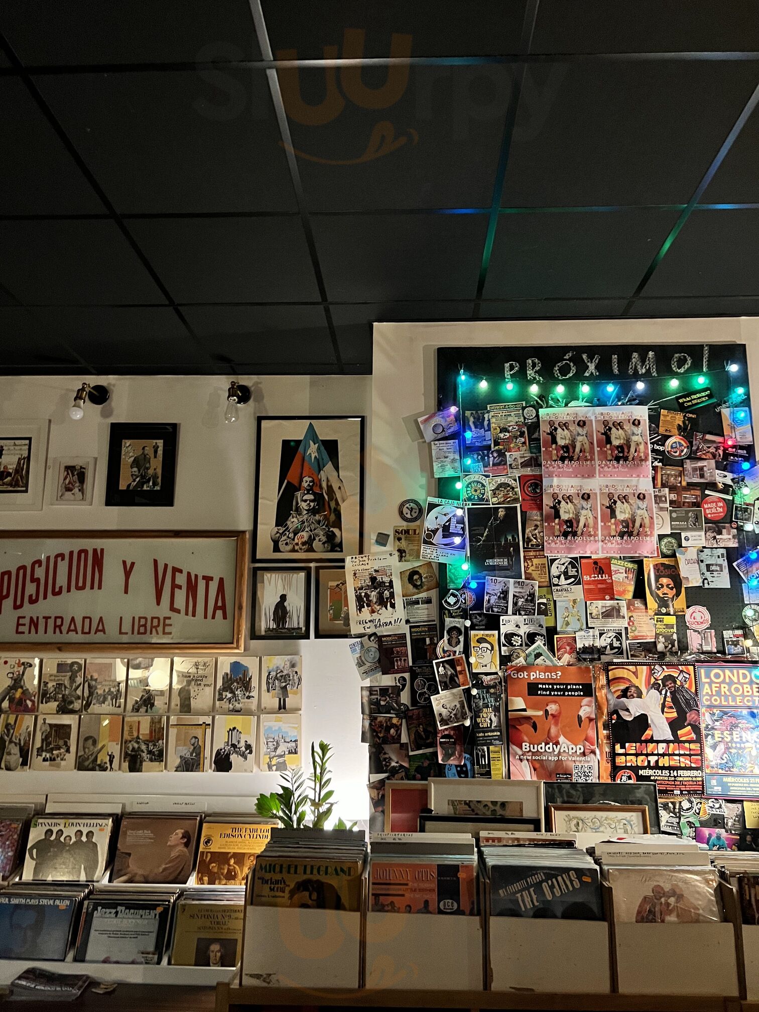 Splendini Bar I Discos