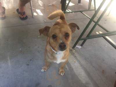 Merendero Bar Los Prados