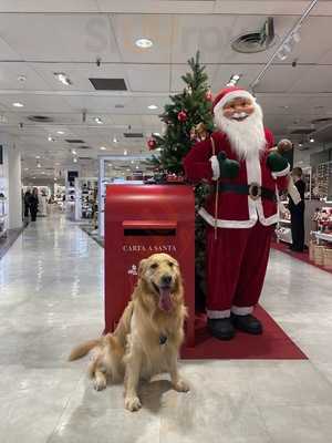 El Corte Inglés Alexandre Rosselló