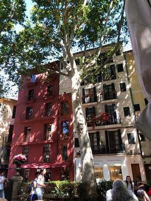 Gastrobar Casal Solleric