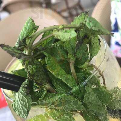 Gastrobar Casal Solleric