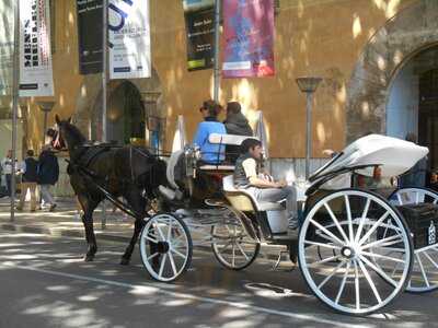 Gastrobar Casal Solleric