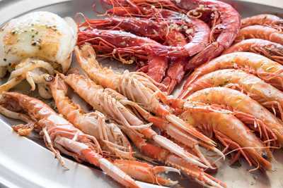 Restaurante Andalucía - Photo 7