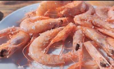 Cerveceria Un Poquito