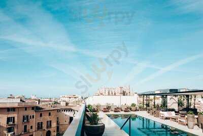 Singular Rooftop Terrace