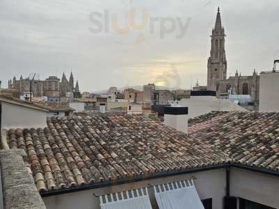 Singular Rooftop Terrace