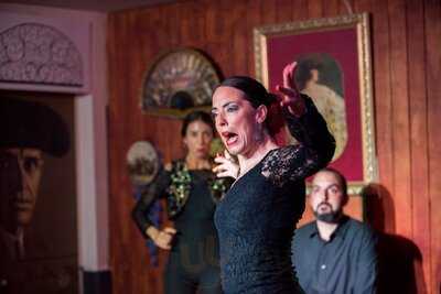 Tbo Sevilla Cc Don Cecilio