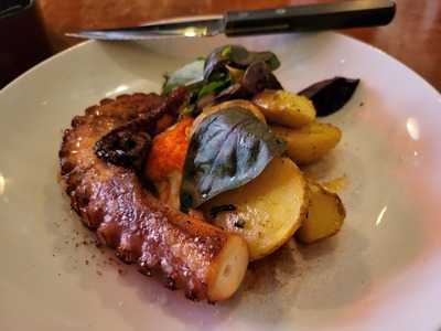 Can Cisa - Bar Brutal