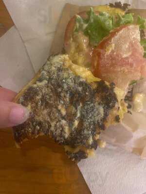 Tgb The Good Burguer