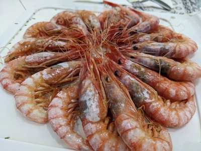 La Gambita De Benidorm