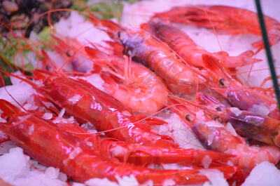 Marisqueria El Cateto