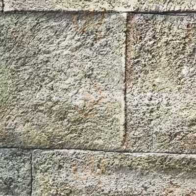 Restaurante La Taverna Del Coure