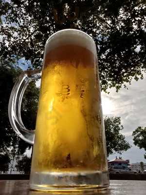 Tgb Paseo Del Cristina