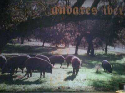 Taberna Andares Ibericos