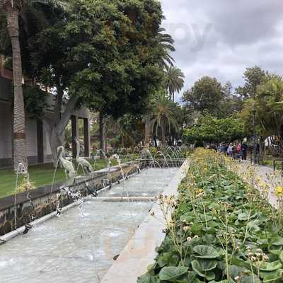 Terraza Parque Doramas