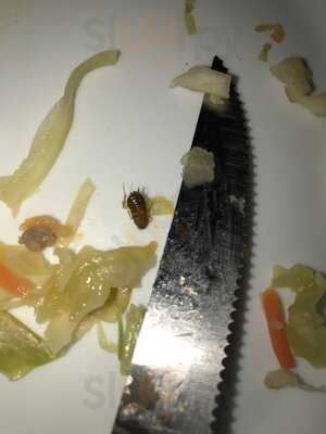 Restaurante Chino Gran Muralla