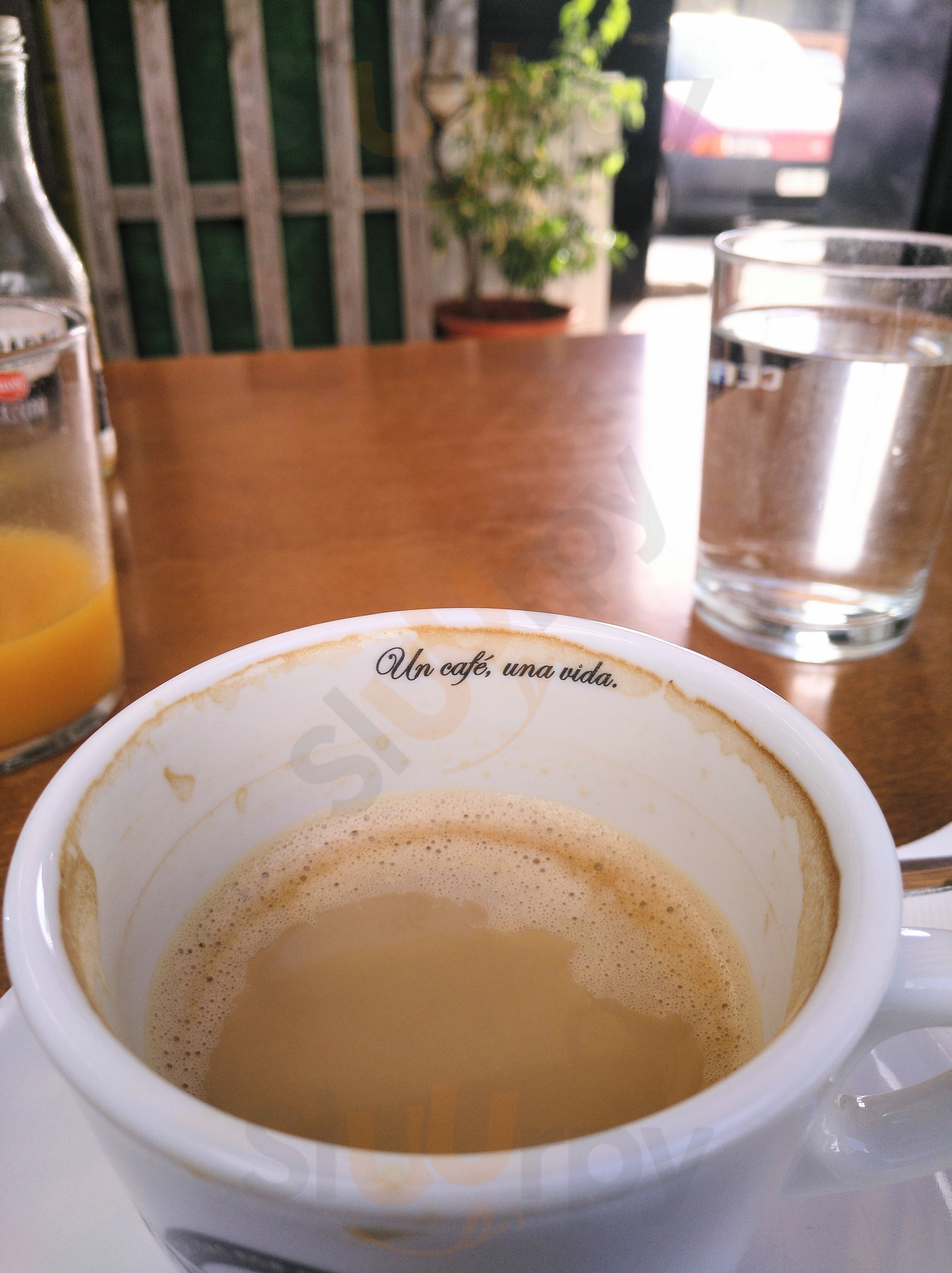 Fernanda Bar De Abastos