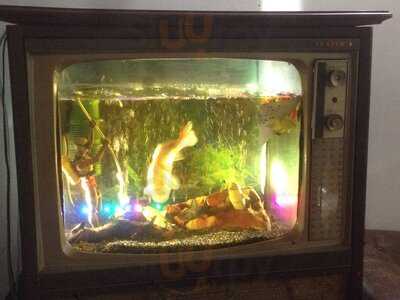 Kokura Automatic Sushi