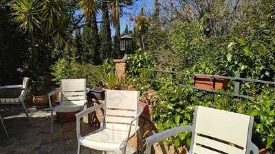 Arrayan Del Generalife