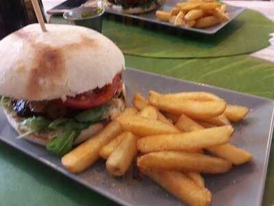 Mr. Carrot Fast Gust