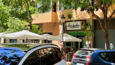 Amapola Tasty Moments