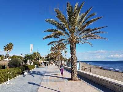 Alabardero Beach Club