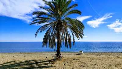 Alabardero Beach Club