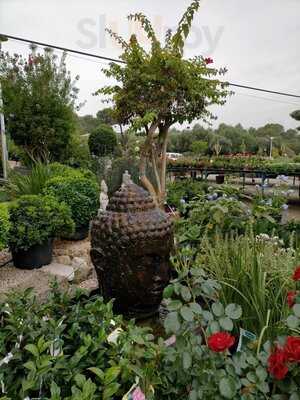 Montgo Verd Y Bali Café