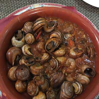 El Aljibe De Santa Ana