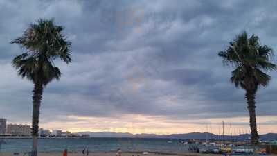 La Reina Del Pollastre