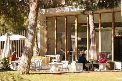 Restaurante Jardines Del Palau