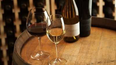 Wine & Tapas Del Duero