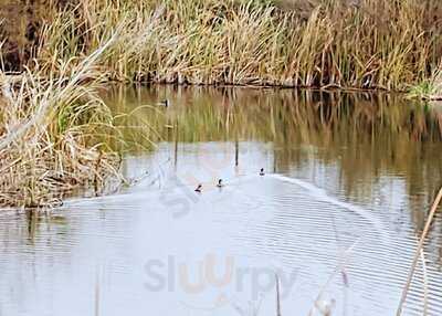 L'estany Del Marjal Dels Moros