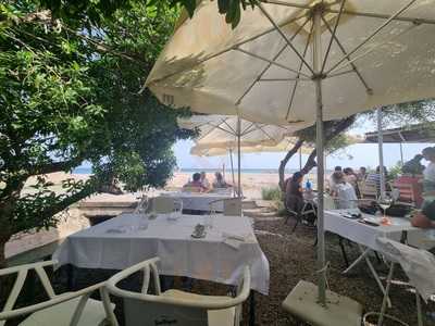 L'estany Del Marjal Dels Moros