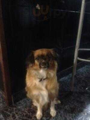 Bar Bodega Costa Brava