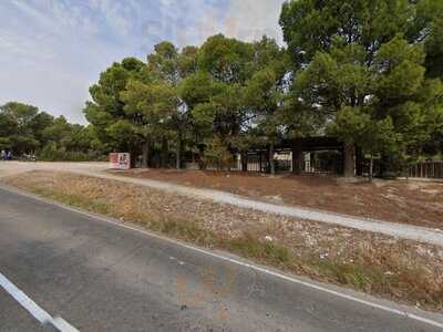 Terraza Pinares De Venecia