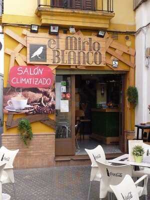 El Mirlo Blanco