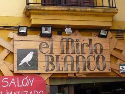 El Mirlo Blanco