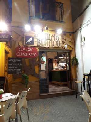 El Mirlo Blanco