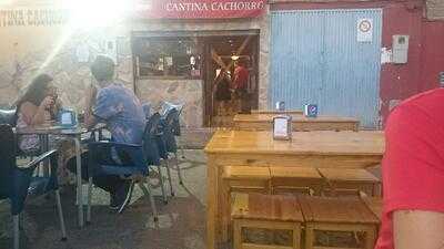 Cantina Cachorro