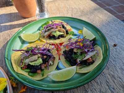 Wild Café & Restaurante