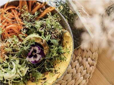 Wild Café & Restaurante