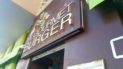 Mr Gourmet Burger